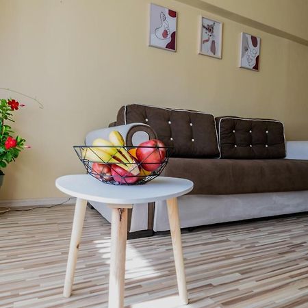 克拉奥华Apartament Centru - Cec公寓 外观 照片